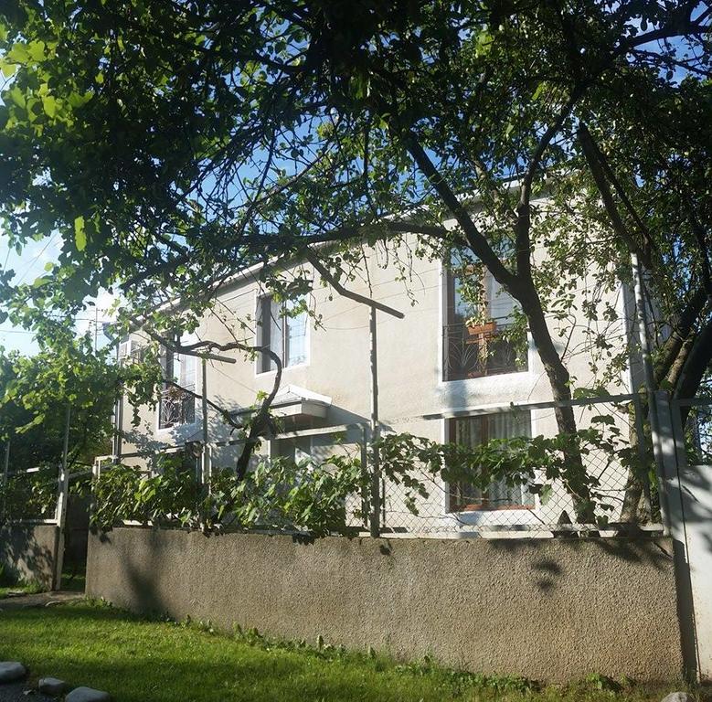 Omsi House Ξενοδοχείο Τελάβι Εξωτερικό φωτογραφία